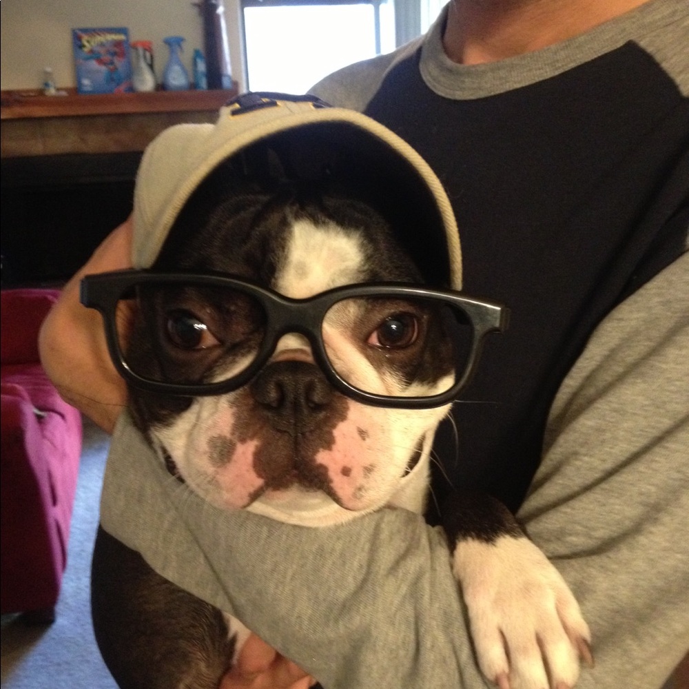 Meet your Posher, Cesar